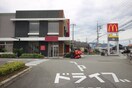 マクドナルド(ファストフード)まで800m 加藤タウンハウスＤ棟