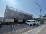 パインルーツⅡ