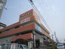 プライスカット(スーパー)まで920m ベリオ高石