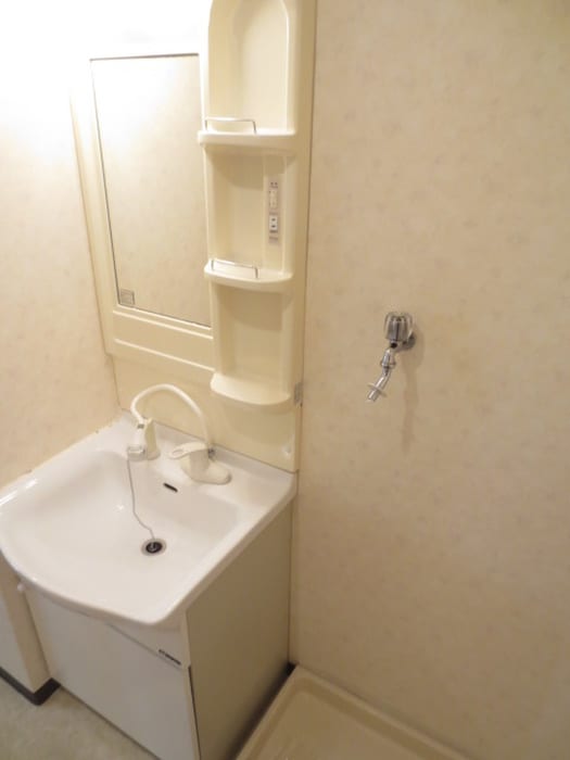 洗面 デルニエアン