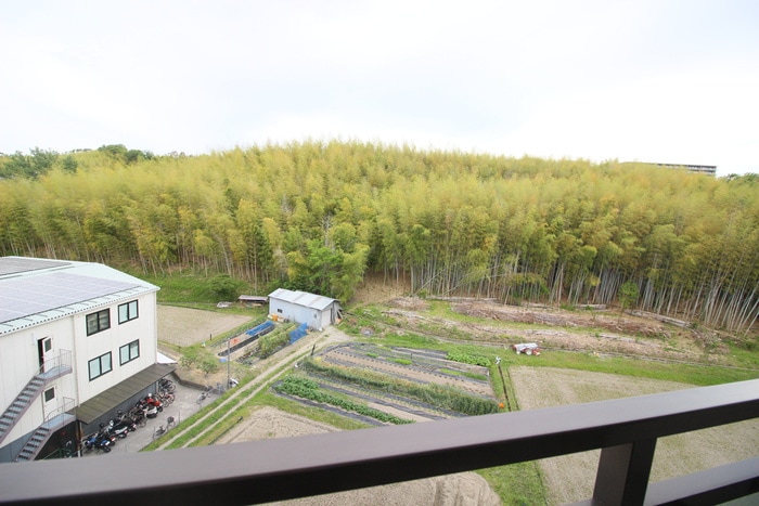 室内からの展望 プランドール桃山