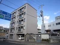 プリムローズ正野