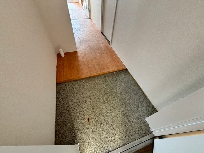 玄関 ラテラス服部