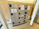 建物設備 ｴｽﾃﾑｺｰﾄ新神戸ｴﾘﾀｰｼﾞｭ(914)