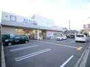ダックス下京西七条店(ドラッグストア)まで250m シャ－メゾン上杉