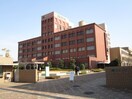 阪南大学(大学/短大/専門学校)まで350m 天美ハイツ