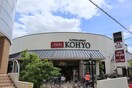 コーヨー(スーパー)まで420m 芦屋打出アーバンライフ(303)