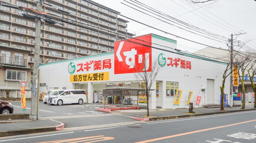 スギ薬局(ドラッグストア)まで172m ルミエールしみず