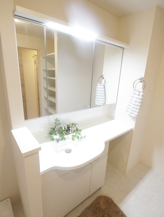 洗面 セントコリーヌD棟