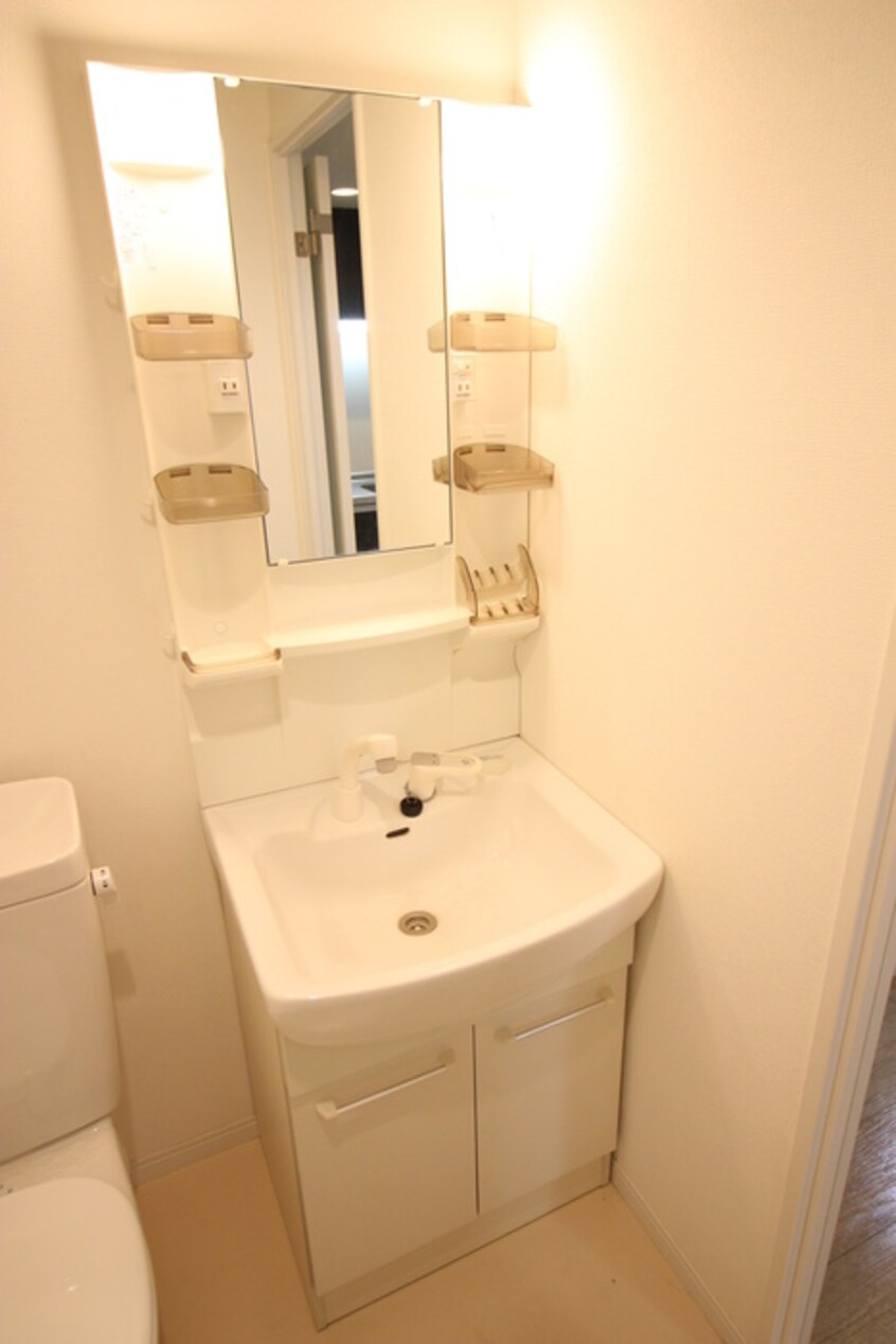 洗面 ロイヤルハイツ今市