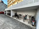 駐輪場 エバ－グリ－ンハイツ