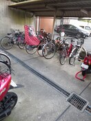 駐輪場 グランドハイツ