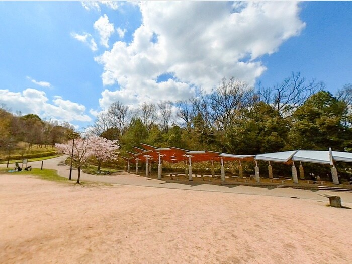 錦織公園(公園)まで1100m タ－ニングハイツ