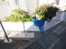 建物設備 ルネサンス