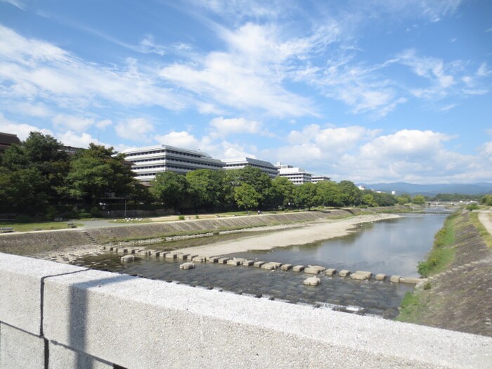 鴨川(公園)まで230m ナカマチ４４６