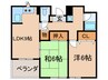メゾンアルマ 2LDKの間取り