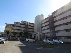 松原小川園ﾛｰﾚﾙｺｰﾄ（209）