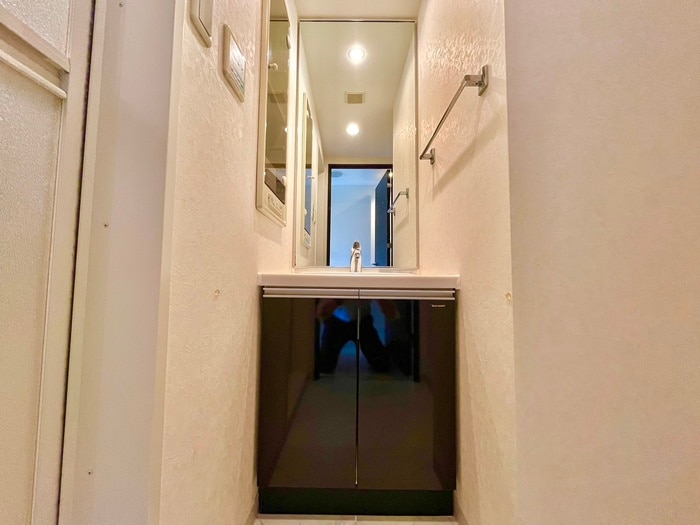 洗面 S-RESIDENCE NAMBA VIALE