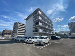 クラウンハイツ