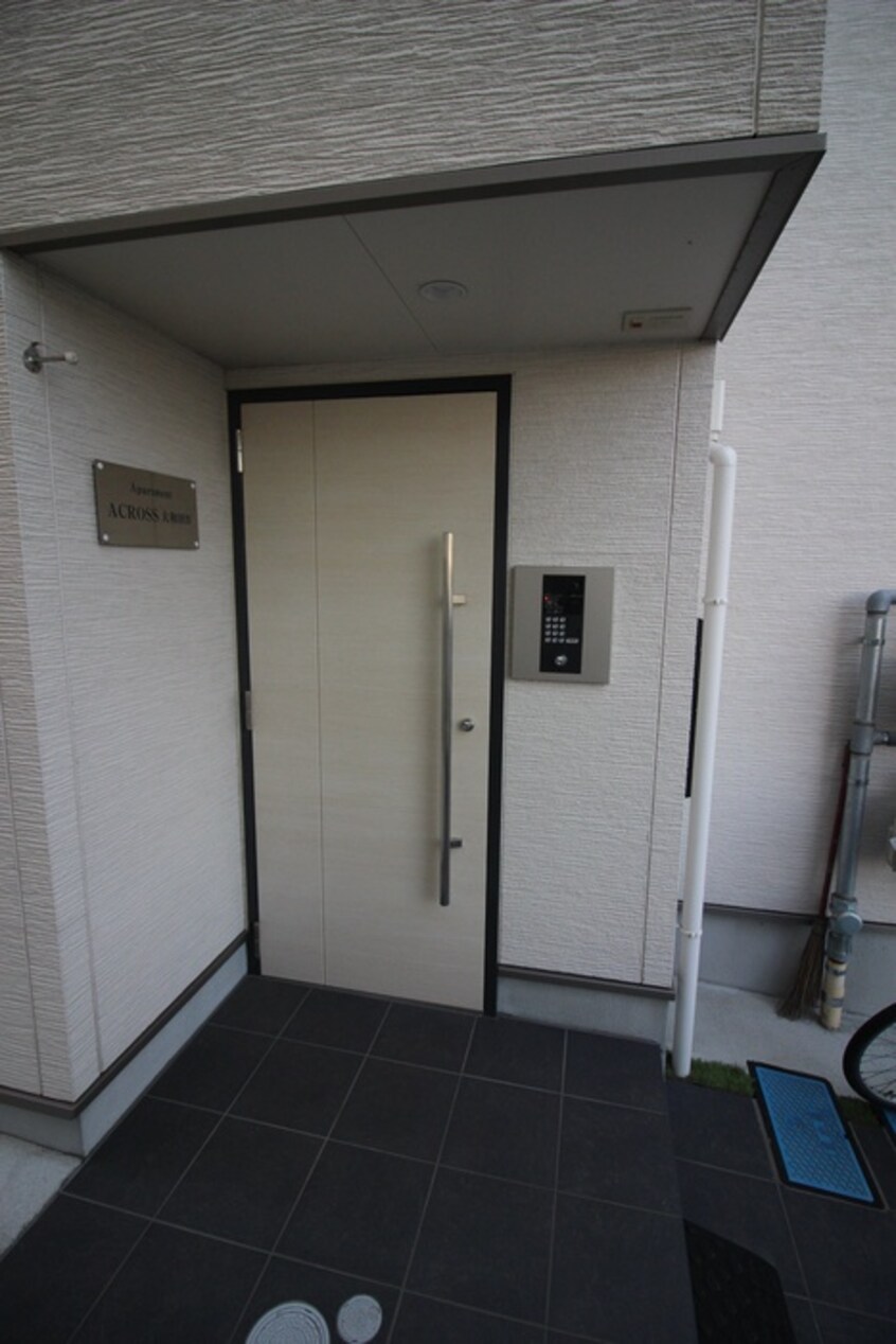 エントランス部分 アクロス大和田アパートメントⅣ