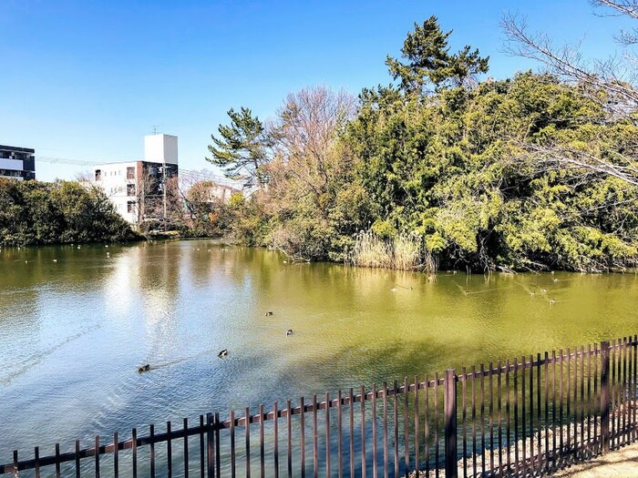 向陵公園(公園)まで210m カームコーポ