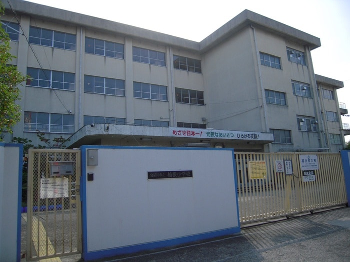 寝屋川市立楠根小学校(小学校)まで400m プチメゾン堀溝Ⅱ