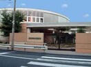 東大阪市立成和小学校(小学校)まで990m アミークス