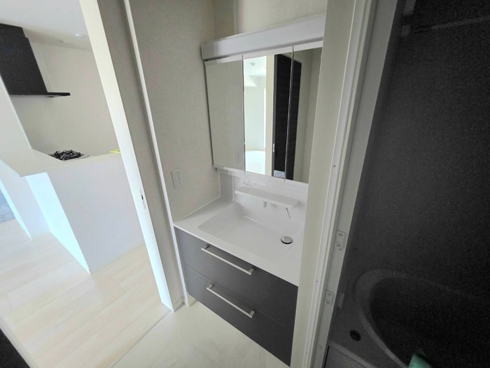 洗面 エクセレントガーデンヒルズA棟