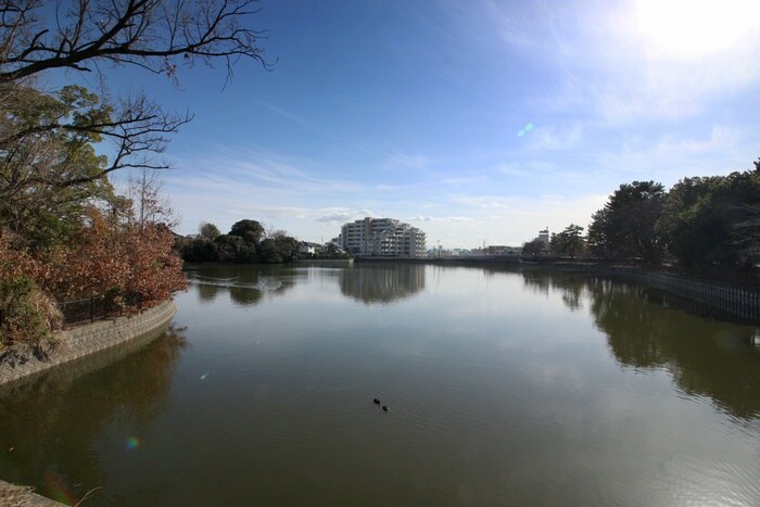 若竹池(公園)まで341m ハイツ若竹