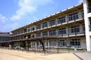 南甲子園小学校(小学校)まで400m ショウワマンション