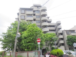 ｴﾊﾞｰｸﾞﾘｰﾝｸﾞﾗﾝﾄﾞ曽根Ａ棟(603)