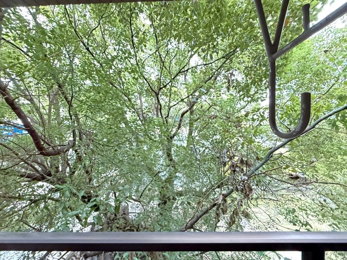 室内からの展望 メゾンドデリシャス