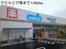 ウェルシア(ドラッグストア)まで1090m メゾンルミネ　中町