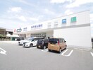 ダックス長岡店(ドラッグストア)まで700m ＷＥＳＴ　ＨＩＬＬ　Ａ棟