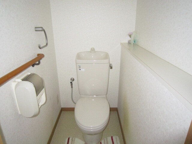 トイレ ドルフサトウ