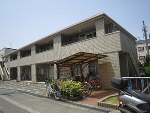 グレイスパル