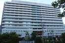 大阪赤十字病院(病院)まで600m サンヴィラ上之宮
