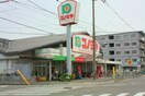 コノミヤ浜寺石津店(スーパー)まで800m クイーンズコート2号館