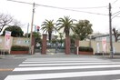 堺市立錦綾小学校(小学校)まで65m コ－ポアオイ