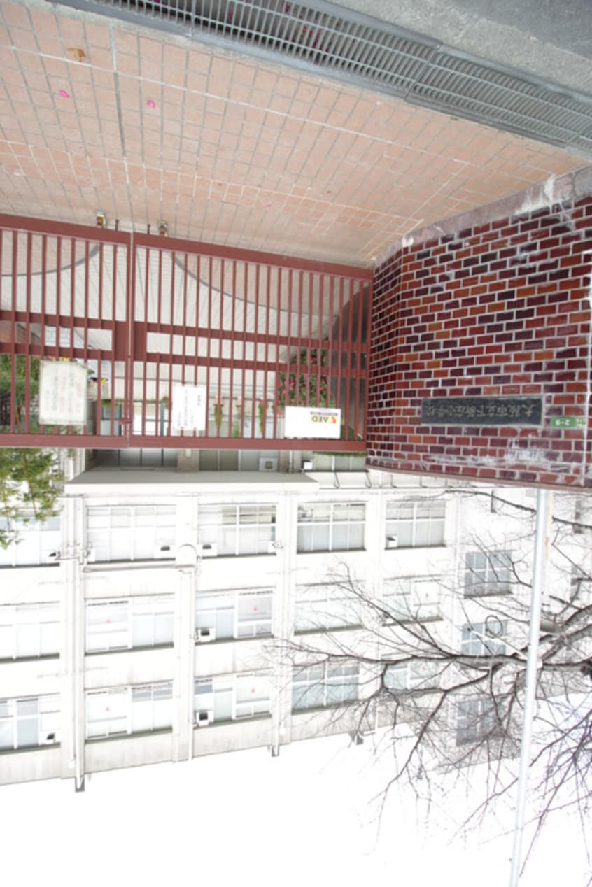 大阪市立下新庄小学校(小学校)まで260m Shine Shimo Shinjo