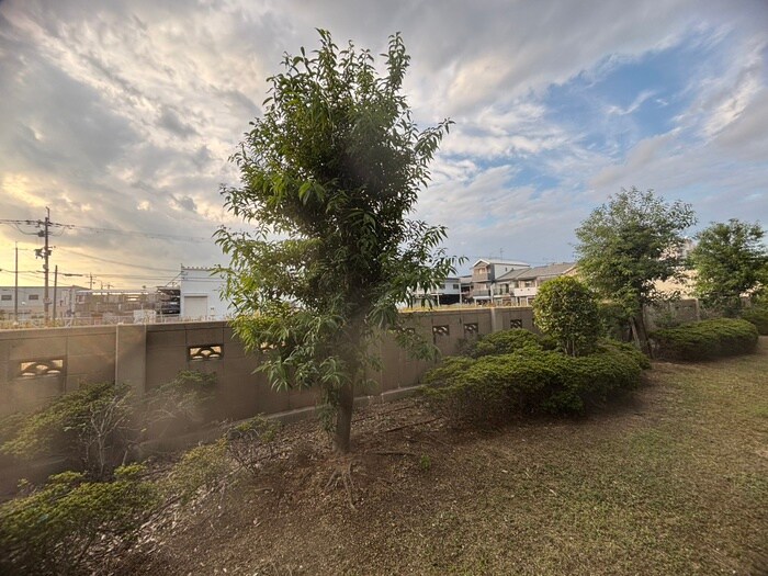 室内からの展望 フレーシア布施