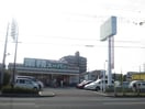 業務スーパーTAKENOKO園田店(スーパー)まで460m トムズハウス