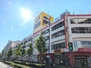 メガドンキ(電気量販店/ホームセンター)まで504m パナハイツ朝潮