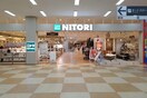 ニトリ(電気量販店/ホームセンター)まで300m H・Tハイライズ