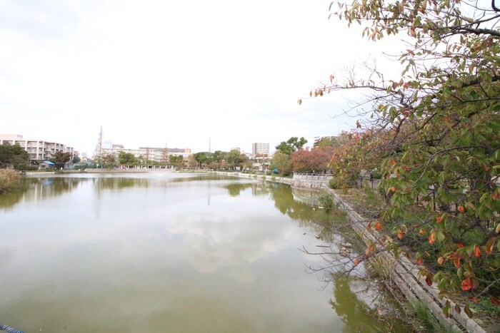 万代池公園(公園)まで700m フジパレス東粉浜