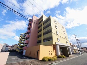 KAIZUKA　REEPLEX　Rs