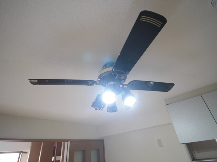 内観写真 ダイコ－パ－ク