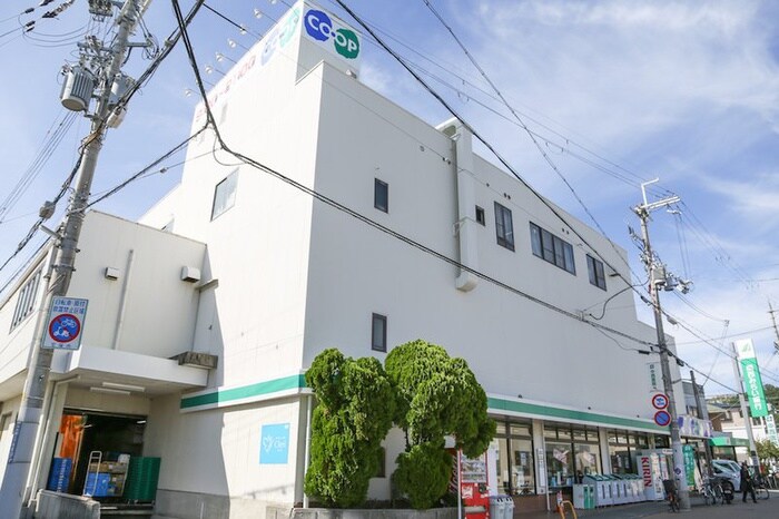 コープ(スーパー)まで550m ブロイド宝塚