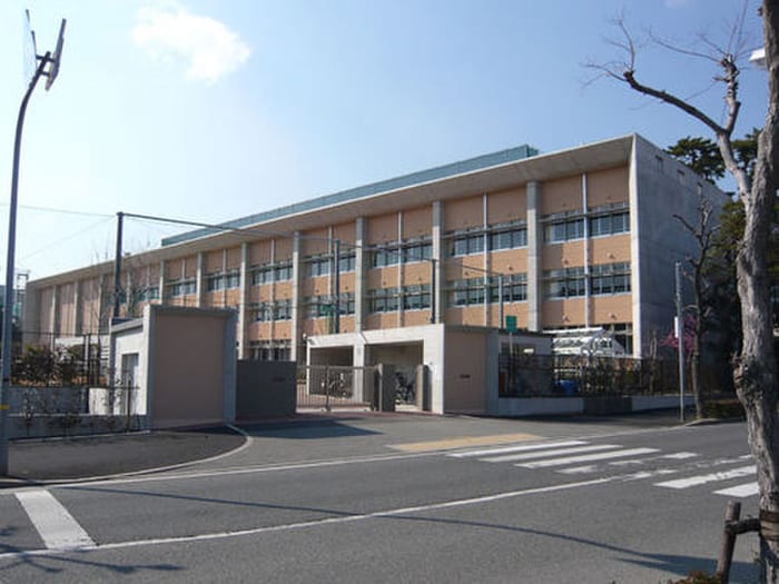 市立精道小学校(小学校)まで205m パインコ－ト浜芦屋