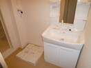 洗面 ハイツあぜりあ